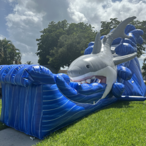 GoneFish n' Water Slide, Inflatable for Kid's Parties