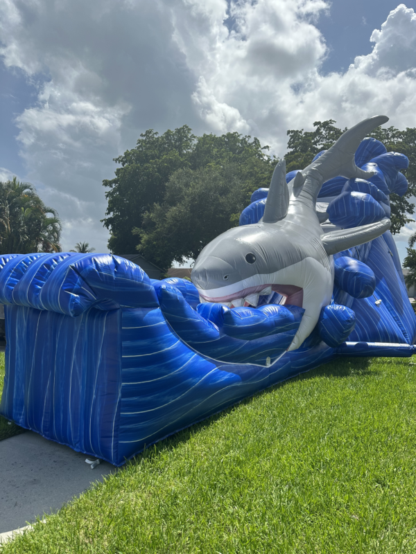 GoneFish n' Water Slide, Inflatable for Kid's Parties